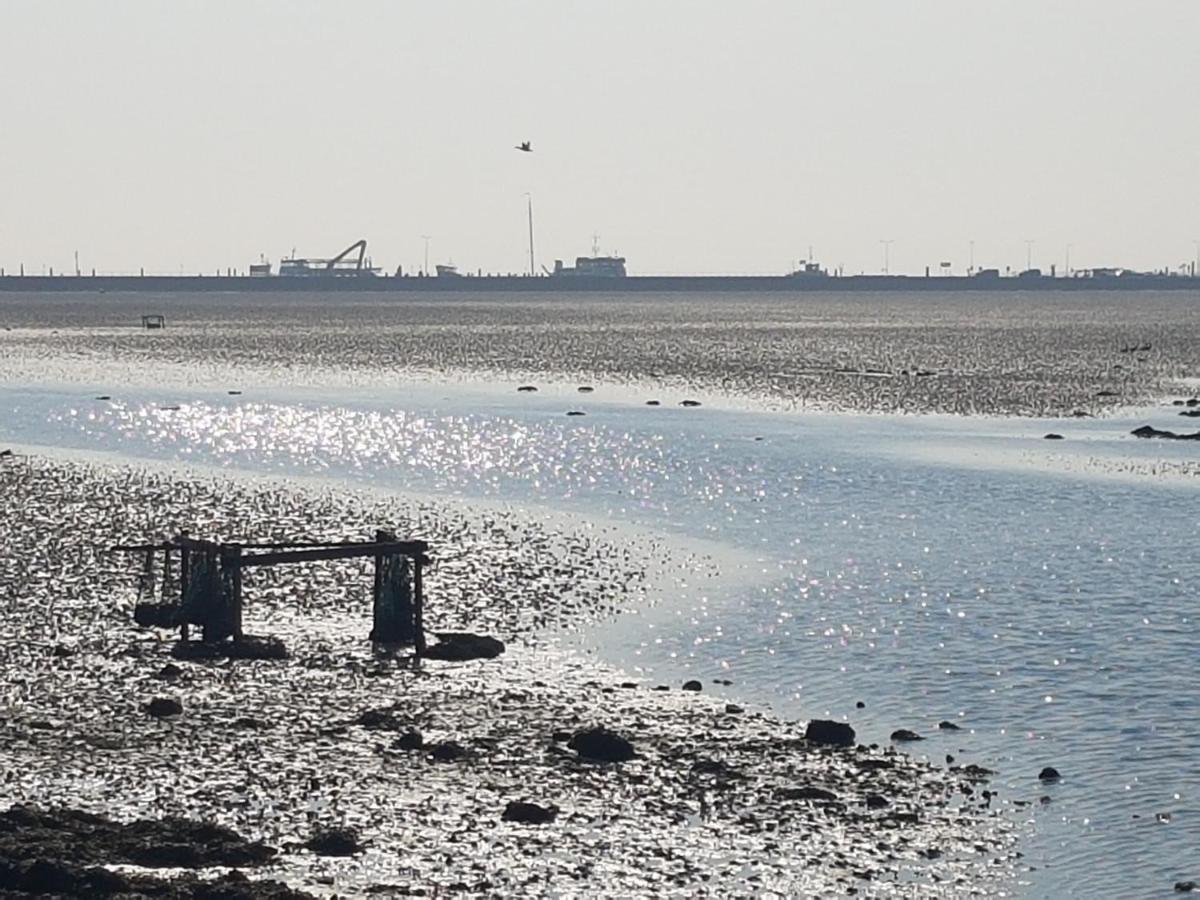 Ameland Tentenverhuur Nes  Exterior foto